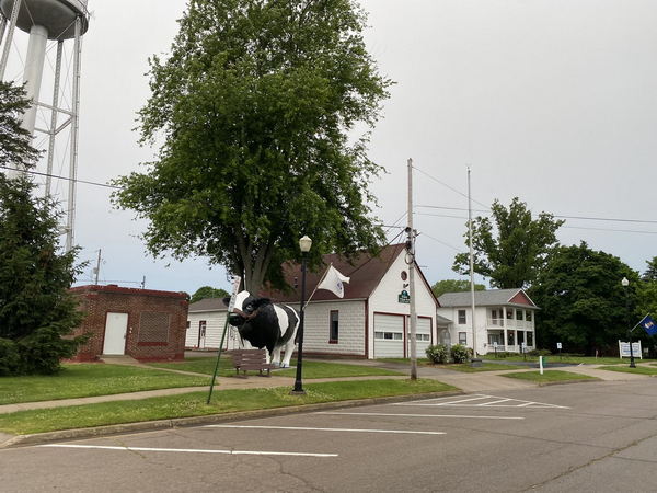 Elsie - May And June 2022 (newer photo)